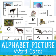 Alphabet Printable Picture Cards - Visual Word Cards