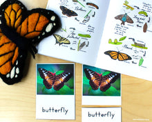 45+ Life Cycle Activities and Printables