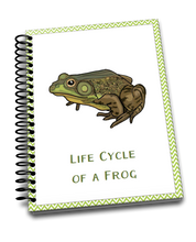 The Ultimate Life Cycle Bundle