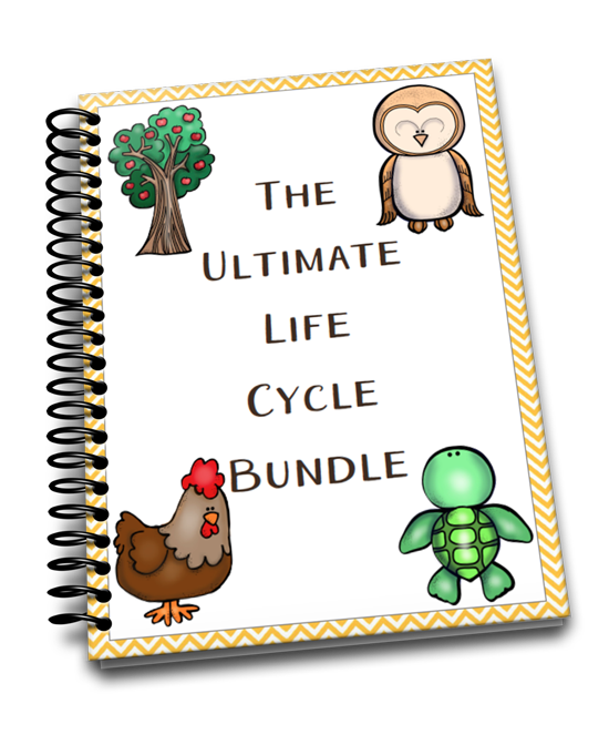 The Ultimate Life Cycle Bundle