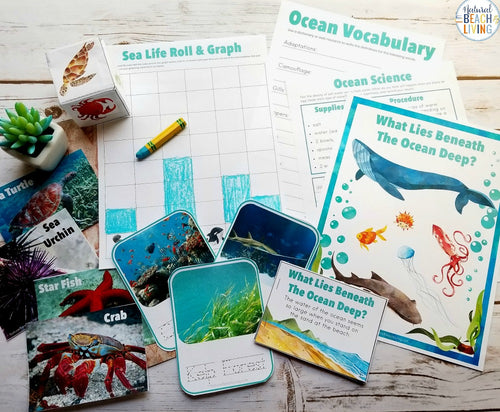 Ocean Science Activities