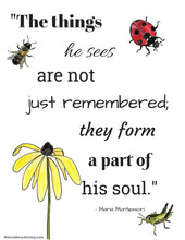 Montessori Quote The Things he sees...