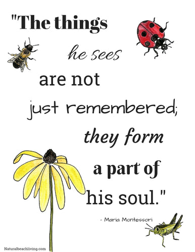 Montessori Quote The Things he sees...