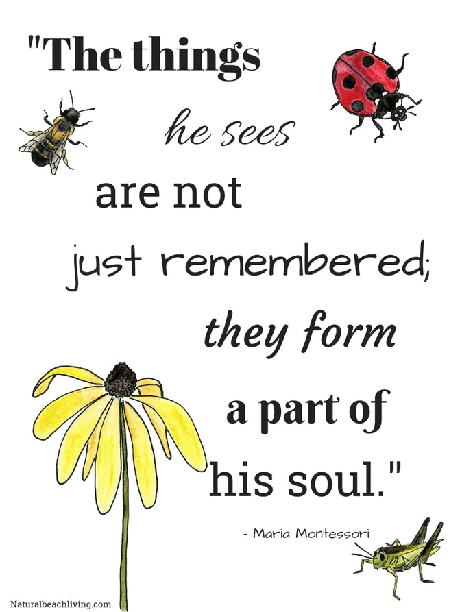 Montessori Quote The Things he sees...