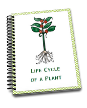 The Ultimate Life Cycle Bundle