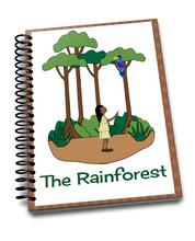 Teaching About The Rainforest