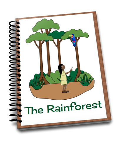 Teaching About The Rainforest