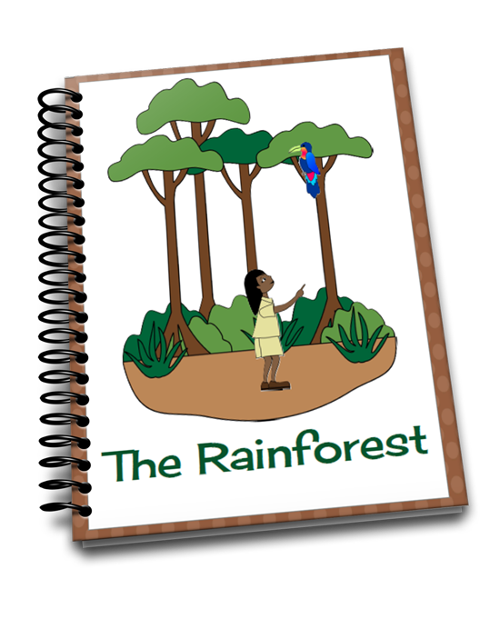 Teaching About The Rainforest