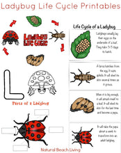 The Ultimate Life Cycle Bundle