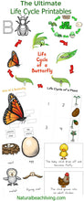 The Ultimate Life Cycle Bundle