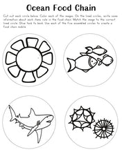 Shark Printable Activities Pack