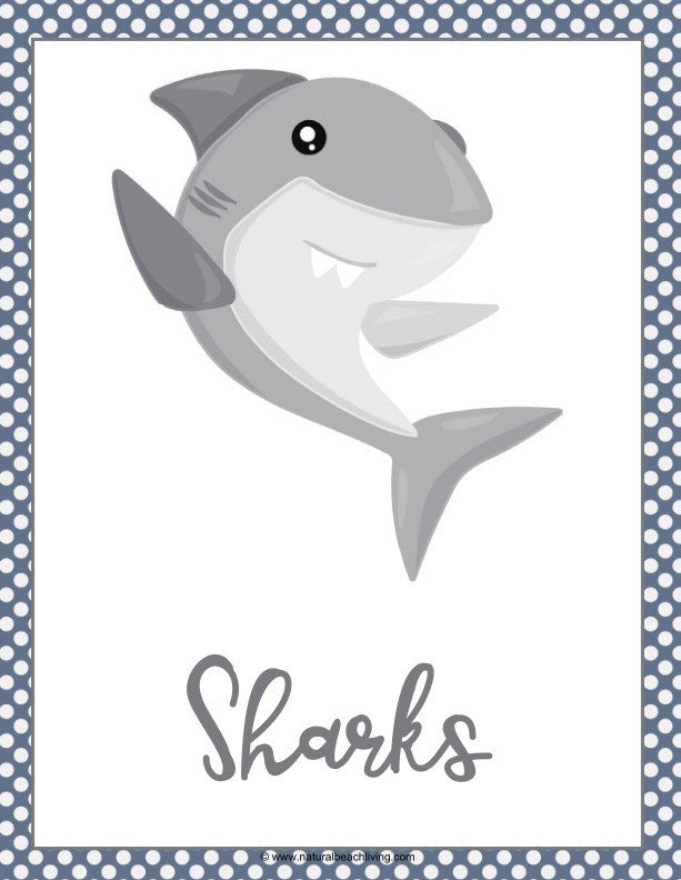 Shark Printable Activities Pack